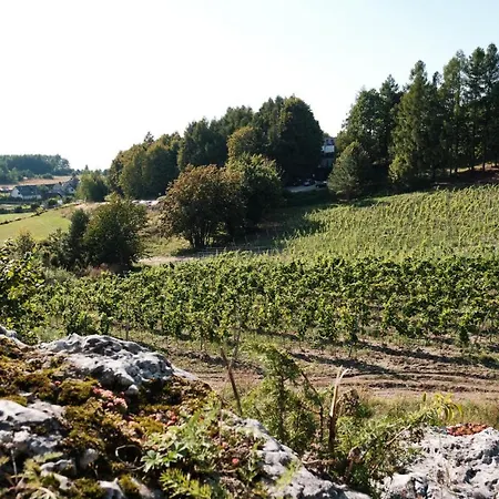 Hotel Poziom 511 Jura Wellness & Ogrodzieniec