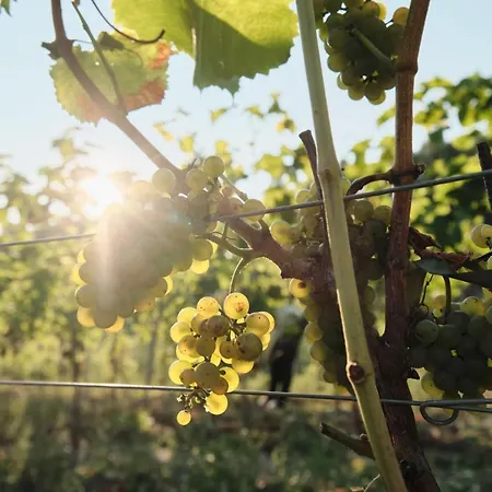 Poziom 511 Jura Wellness & Hotel 4*