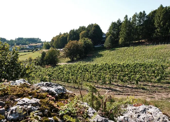 Hotel Poziom 511 Jura Wellness & Ogrodzieniec