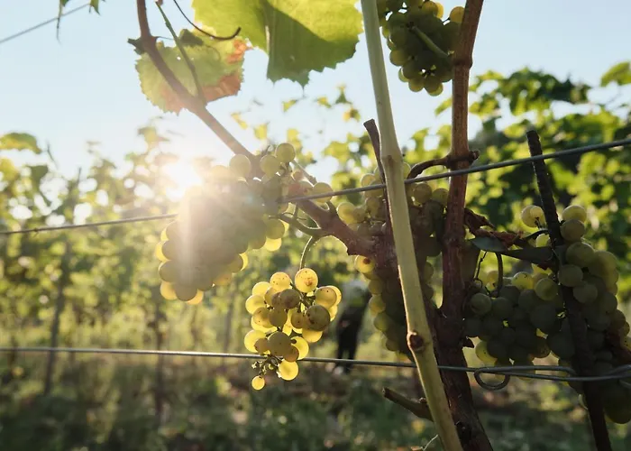 Poziom 511 Jura Wellness & Hotel 4*